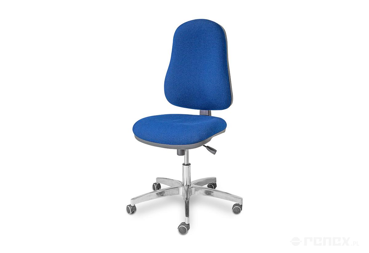 Silla antiestática Comfort-C, foto del fabricante (RENEX/REECO)